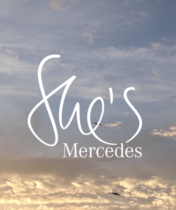 MERCEDES BENZ / İDİL YAZAR